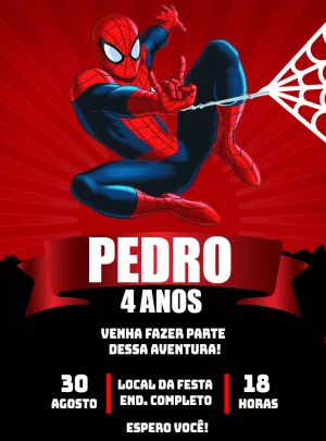 Homem Aranha Herói