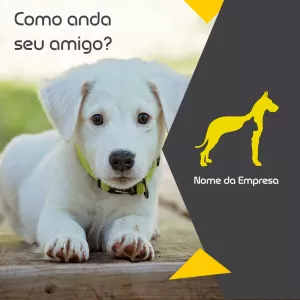Convite Post Postagem Para Empresas Cachorro para mais pesquisados