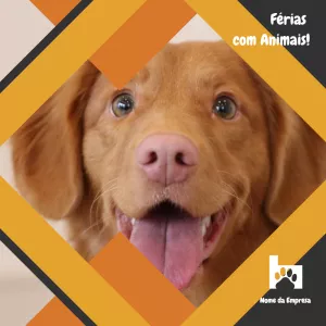 Convite Post Para Pet Shop Veterinário para mais pesquisados