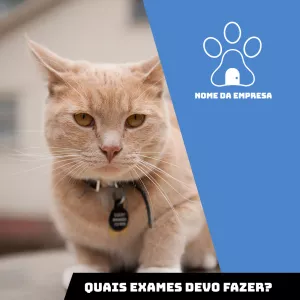 Convite Post Para Pet Shop Postagem para mais pesquisados